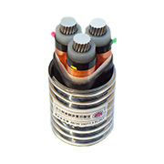 YJLHS、YJLHV22、YJLHV 8.7/15KV 中壓稀土高鐵鋁合金電纜